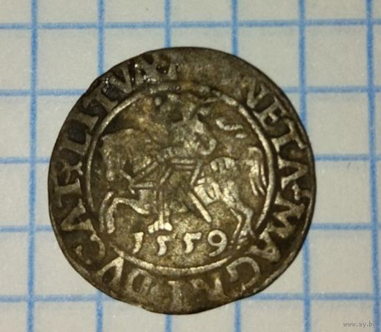 Полугрош 1559 год
