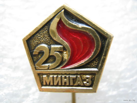 Мингаз 25 лет.