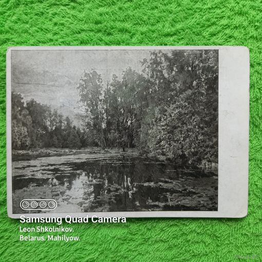 Почтовая карточка 1946 год. Серов В.А.(1865-1911) Заросший пруд 1888. ПРОДАЮ.