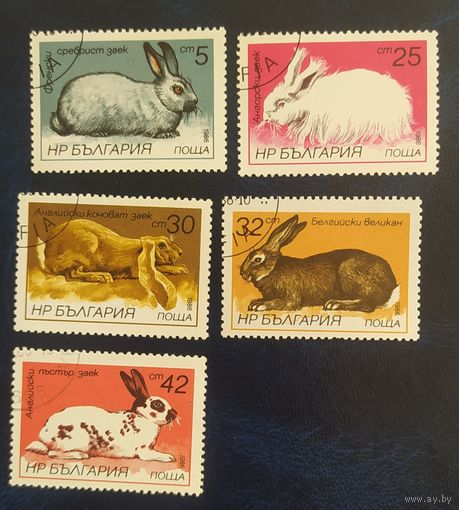Болгария 1986 кролики 5 из 6