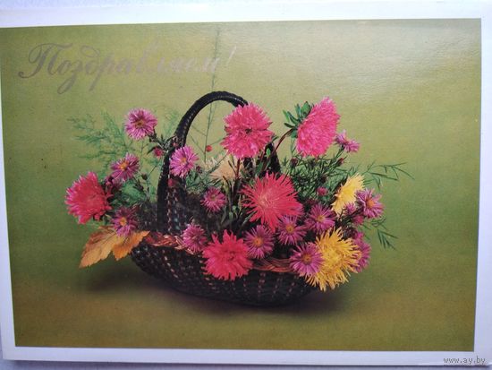 Открытка ,,поздравляю,, 1981 г. чистая