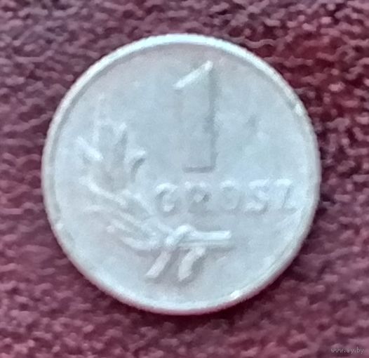 Польша 1 грош, 1949