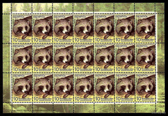 Беларусь. 2008. Стандарт. Енотовидная собака (10р) (з.52-2008) Лист