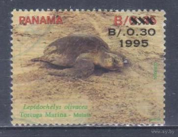 [2441] Панама 1995. Фауна.Черепаха. НАДПЕЧАТКА. Гашеная марка.