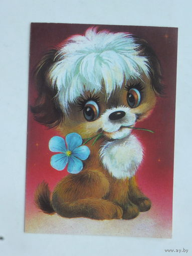 Соловьев собачка   мини открытка 1980-е