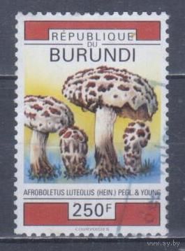 [871] Бурунди 1992. Грибы.250фр. Концовка серии.Гашеная марка. Кат.гаш.6 е.