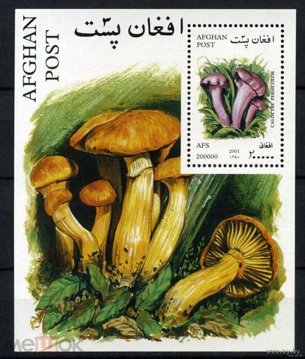 Афганистан 2001 г. Флора ГРИБЫ - блок  MNH