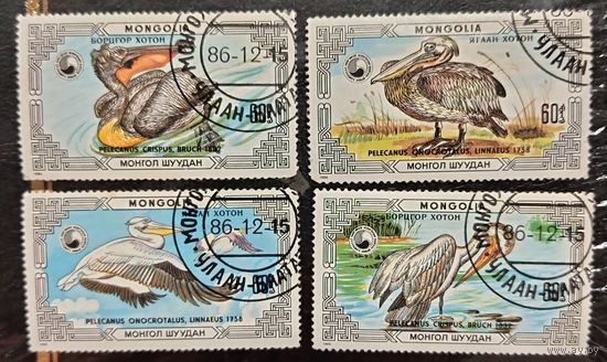 Монголия 1986. Фауна. Птицы. Пеликаны