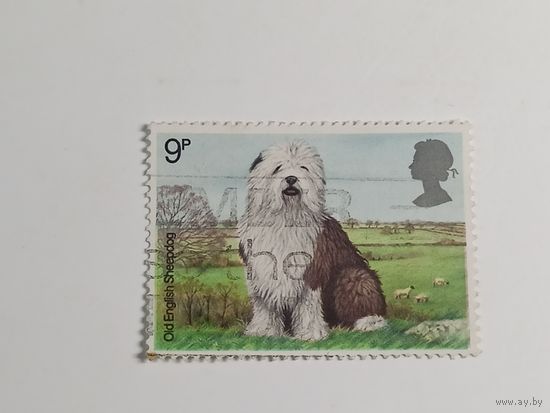 Великобритания 1979. Собаки