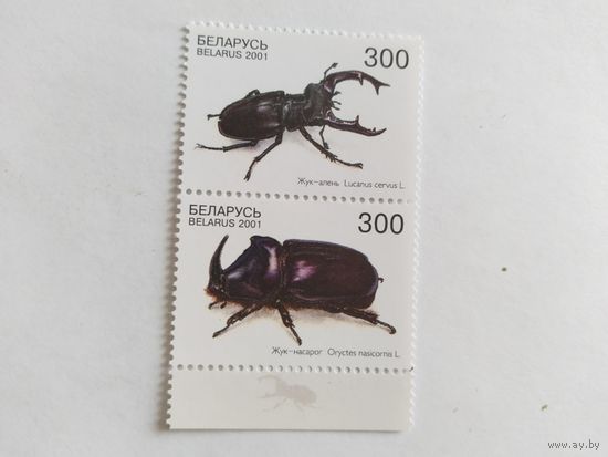 Беларусь  2001   2 м жуки  сцепка