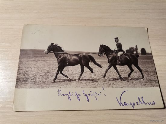 Почтовая карточка, фотография с изображением военного на коне, до 1917 года.