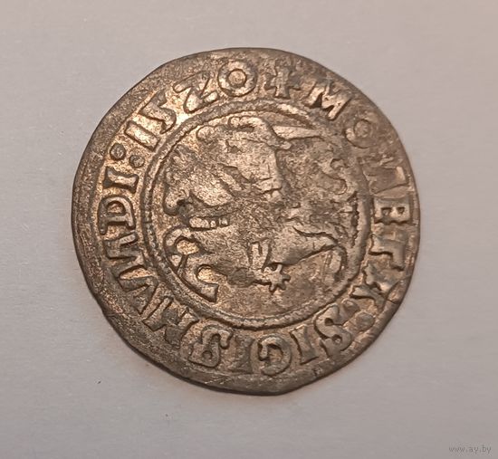 Паўгрошы Жыгiмонта I! 1520. Зеркальное N (И) на обеих сторонах