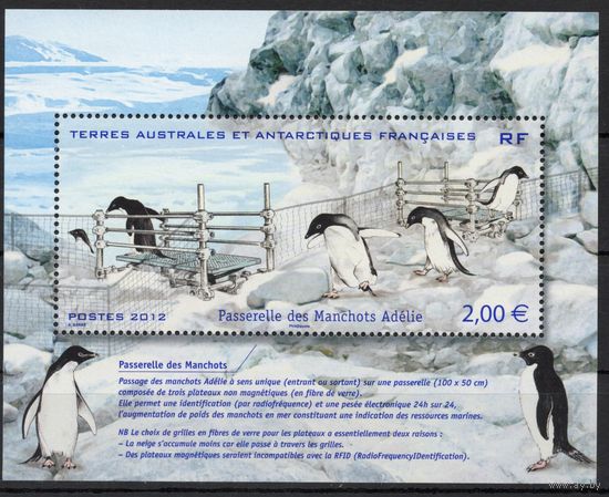 Французские территории в Антарктиде 2012. Пингвины. 1 блок (790)