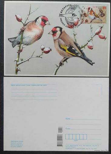 Беларусь 2018 КМ птица года, черноголовый щегол .