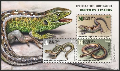 2018г Беларусь MNH Малый лист Рептилии. Ящерицы фауна **