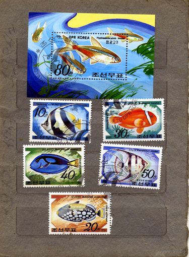 КНДР, 1991,  РЫБЫ,     серия 5м + блок,  гашен
