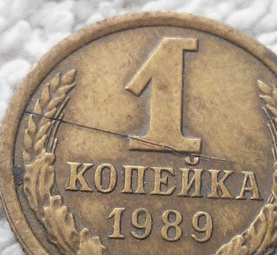 1 копейка 1989 СССР #11 БРАК