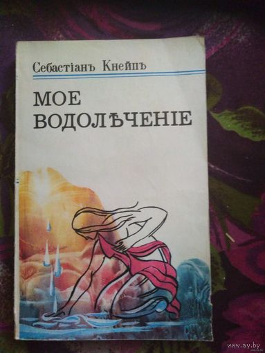 Кнейп (Кнейпп) Себастиан, Мое водолечение
