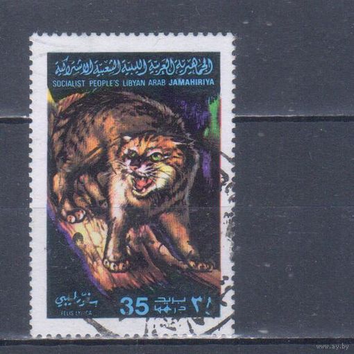 [962] Ливия 1979. Фауна.Дикие кошки.Лесной кот. Гашеная марка.