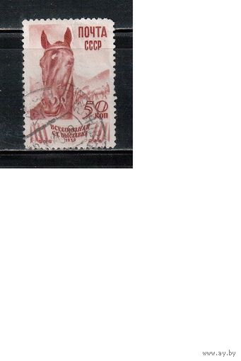 СССР-1939, (Заг.597), гаш. , Сельхозвыставка, Лошади