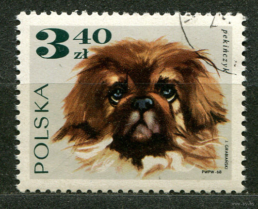 Пекинес. Собаки. Польша. 1968
