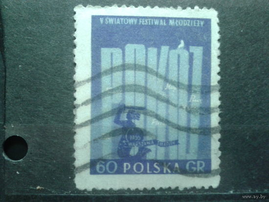 Польша 1955 Фестиваль молодежи и студентов, плакат