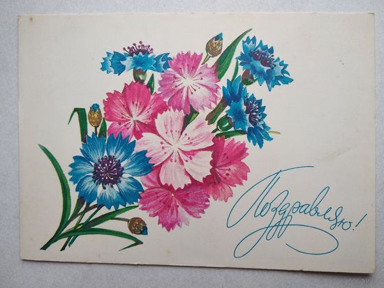 Открытка ,,поздравляю,, 1981 г. чистая