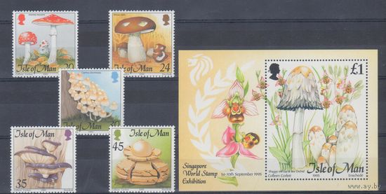 [100] Мэн 1995. Грибы. СЕРИЯ+БЛОК. MNH