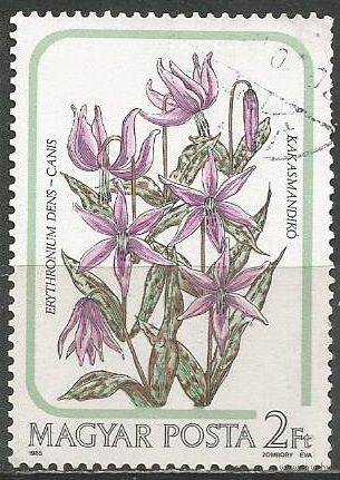 Венгрия. Лилия Кандык Европейский. 1985г. Mi#3790.