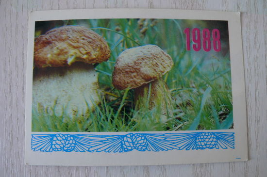 Календарик, 1987, Гриб боровик, изд. Украина.