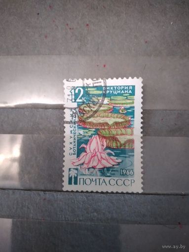 СССР, 1966,   СУХУМСКИЙ БОТ САД   1м