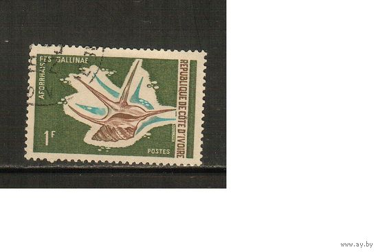 Кот-Дивуар-1971(Мих.391),  гаш.,   Морская  Фауна ,Раковины