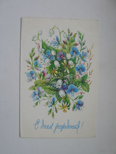 Бодрихина Л. 1984г.