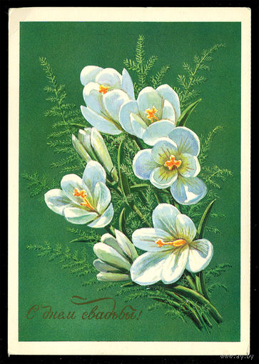 С днем свадьбы! Худ. М. Коломиец. 1983