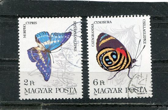 Венгрия. Бабочки