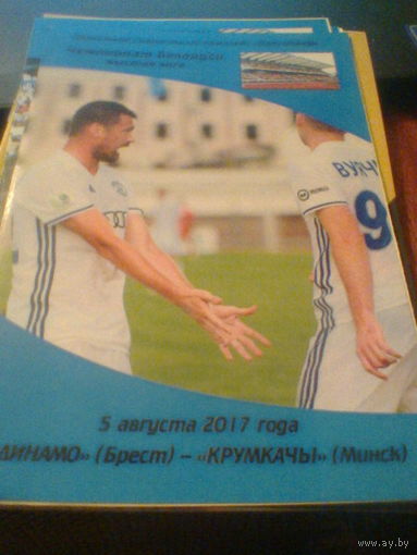 05.08.2017--Динамо Брест--Крумкачы Минск