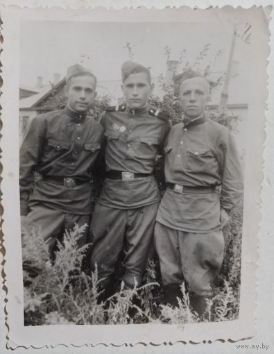 Фото в коллекцию