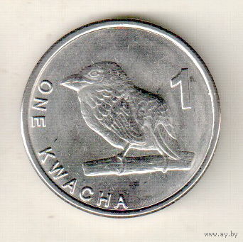 Замбия 1 квача 2024