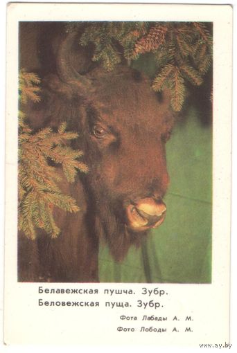 Карманный каленарик