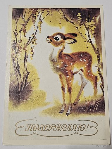 Открытка ,,Поздравляю!'' худ. В. Каневский 1989 г.