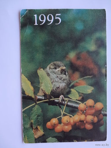Календарик 1995 г.  Воробей.