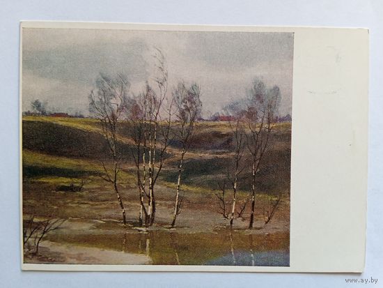1955. Камзолкин. Весной