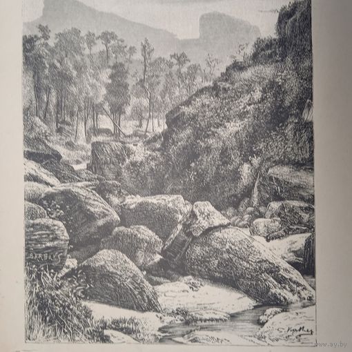 ЦЕЙЛОНСКИЕ ПЕЙЗАЖЪ. гравюра конец 19в.-20в.  27х17.5см.
