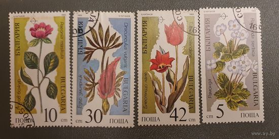 Болгария растения 4шт