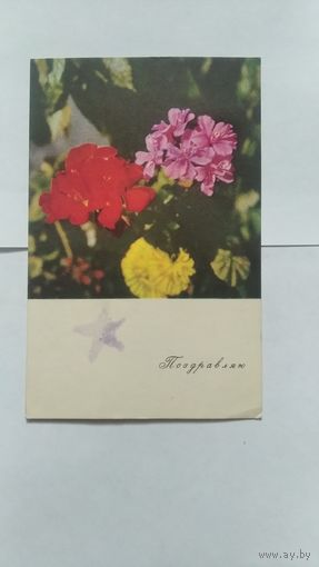 Открытка