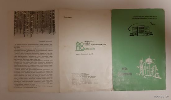 Леса Белоруссии. 1969