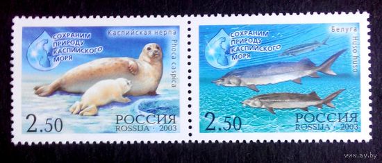 Россия 2003 год