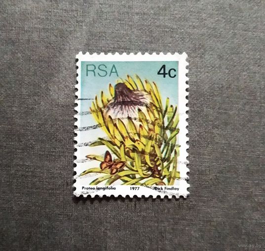 Марка ЮАР 1977 год Цветы