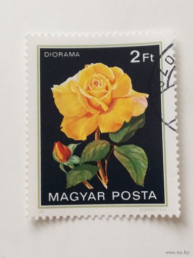 Венгрия 1982.  Флора. Розы