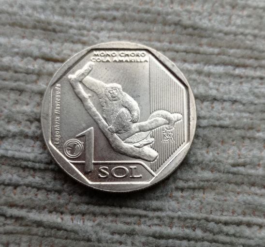 Werty71 Перу 1 соль 2019 Желтохвостая обезьяна